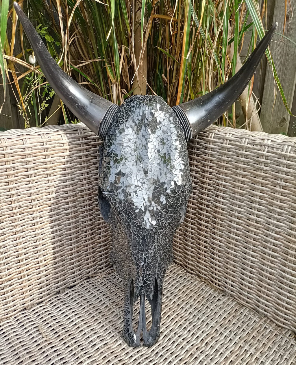 75 Punten.... Buffelschedel Zwart ingelegd in glas