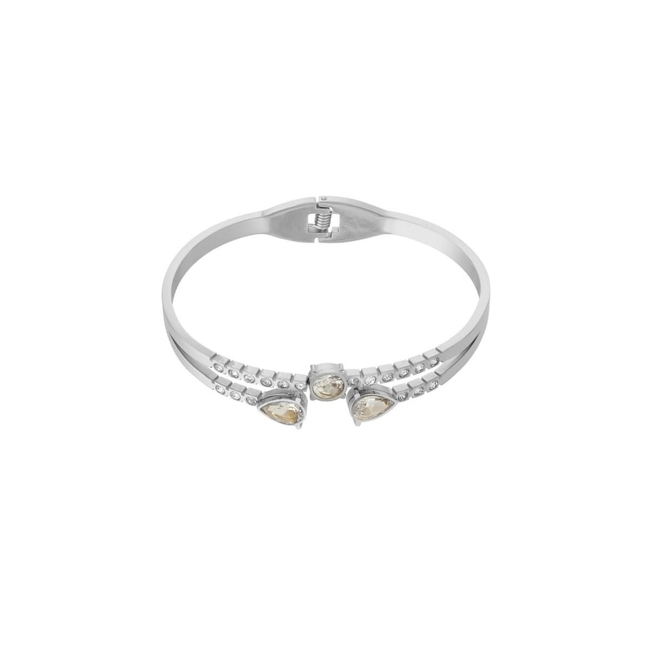 RVS Zilverkleurige druppel armband