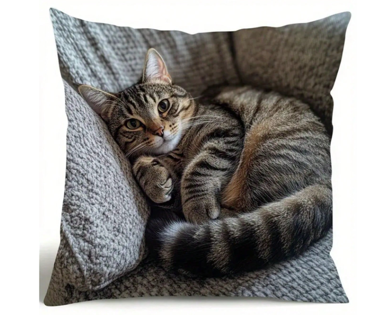 4 kussenhoezen met kattenprint - Schattig